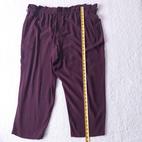 Eileen Fisher Pants Cassis Plum Straight Tencel Crepe Pants Women's Sz 2x NWT - Picture 8 of 12
